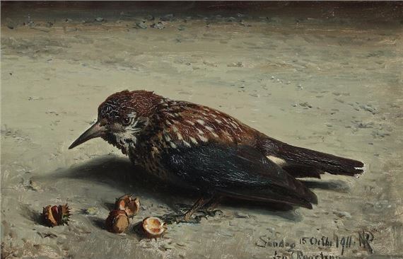 Study af a Jay by Niels Peter Rasmussen, 1915