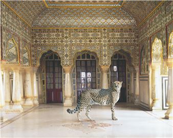 Karen Knorr: India Song - Danziger Gallery, New York 