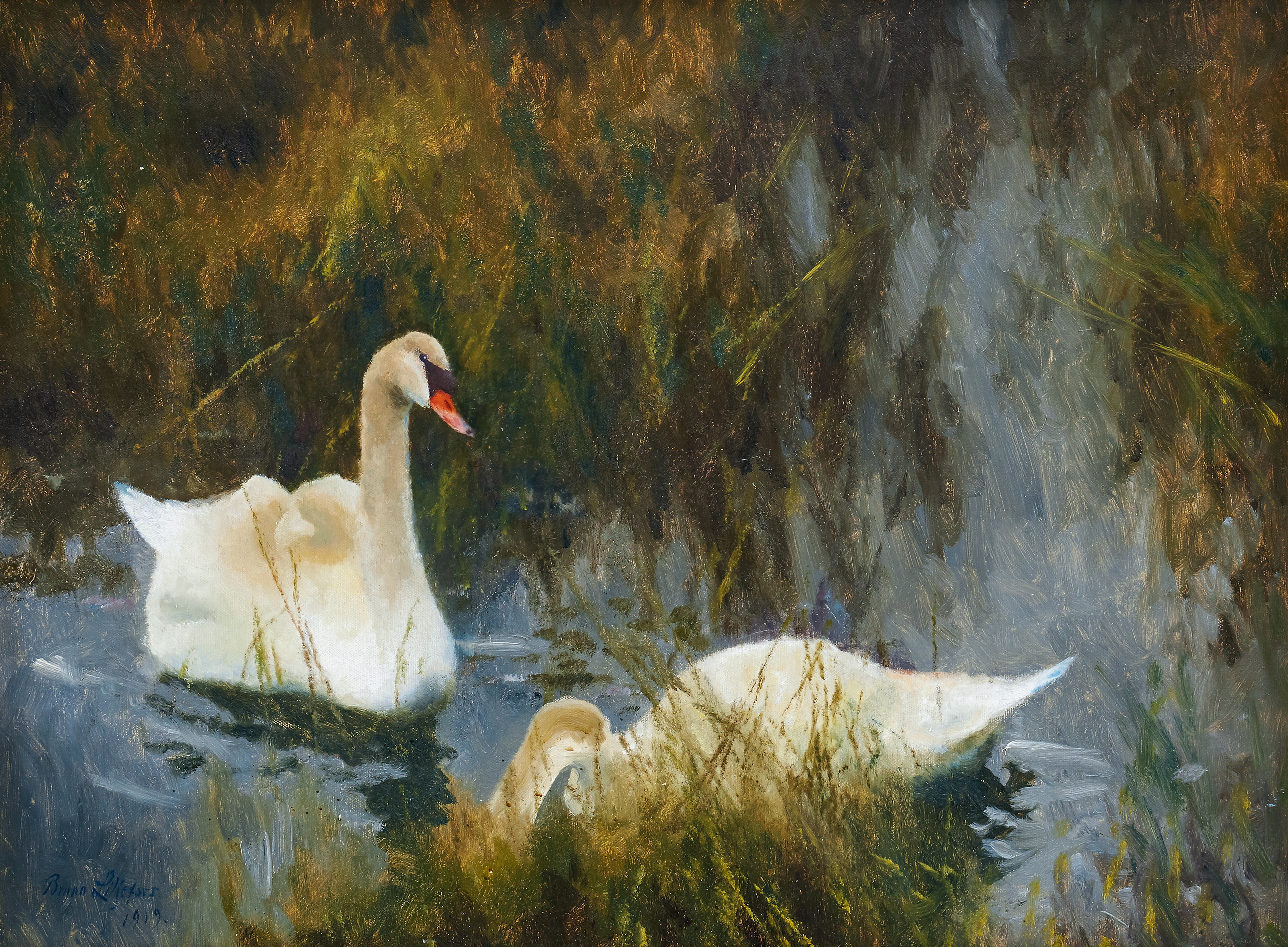 Artwork by Bruno Liljefors, Svanar, Made of oil on canvas