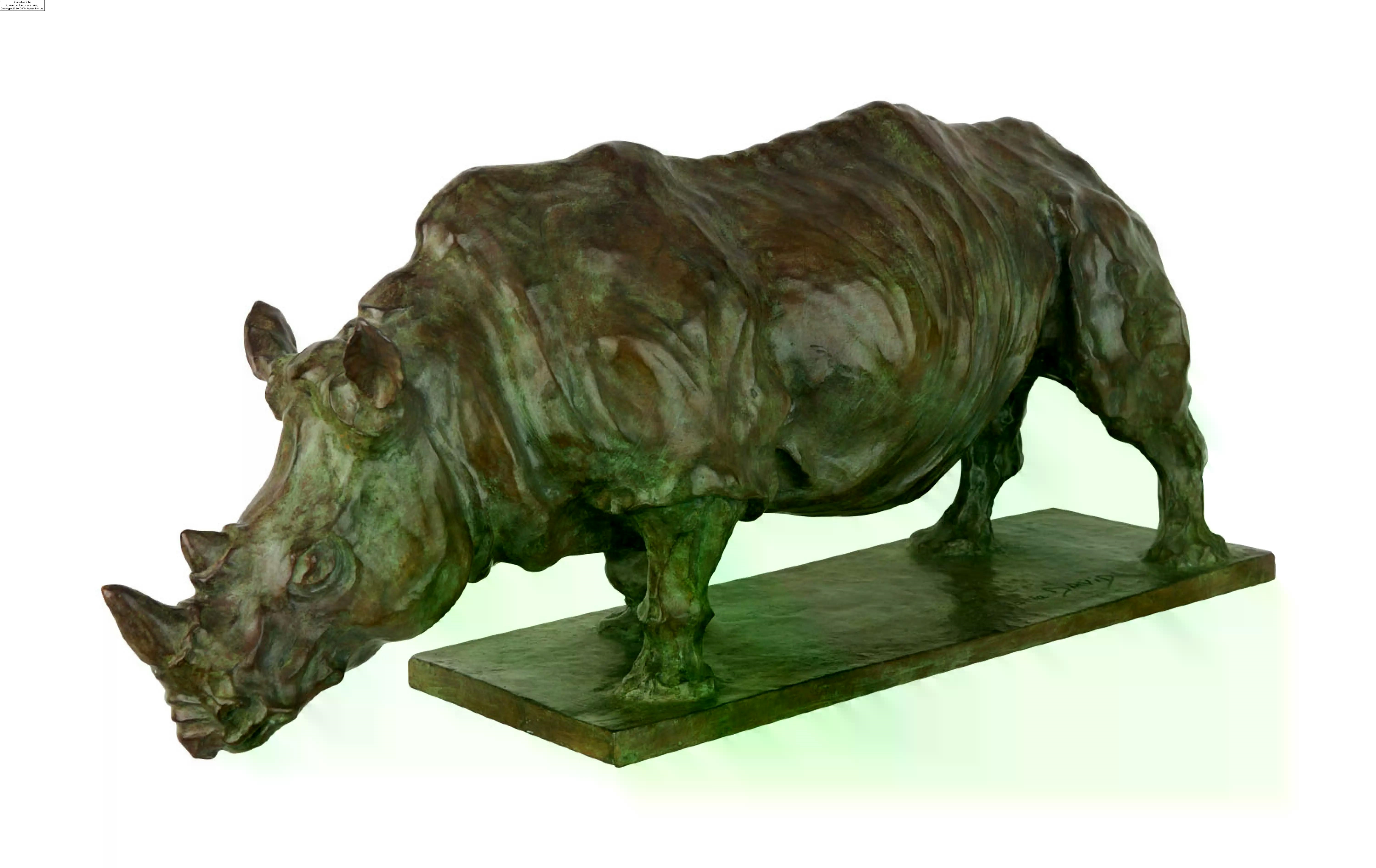 José María David | RHINOCÉROS | MutualArt