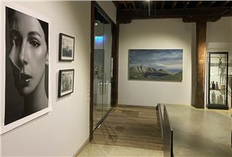 35th Annual Summer Show - Despard Gallery