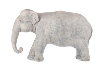 ELEPHANT - Zoe Whiteside