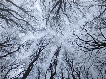 Wax rhapsodic - The LAB, Dublin