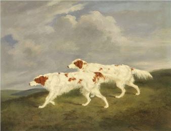 Red and White Setters - H. R. Palmer