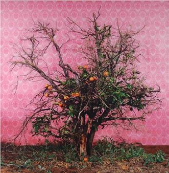 In Place of a Missing Place - American University Museum