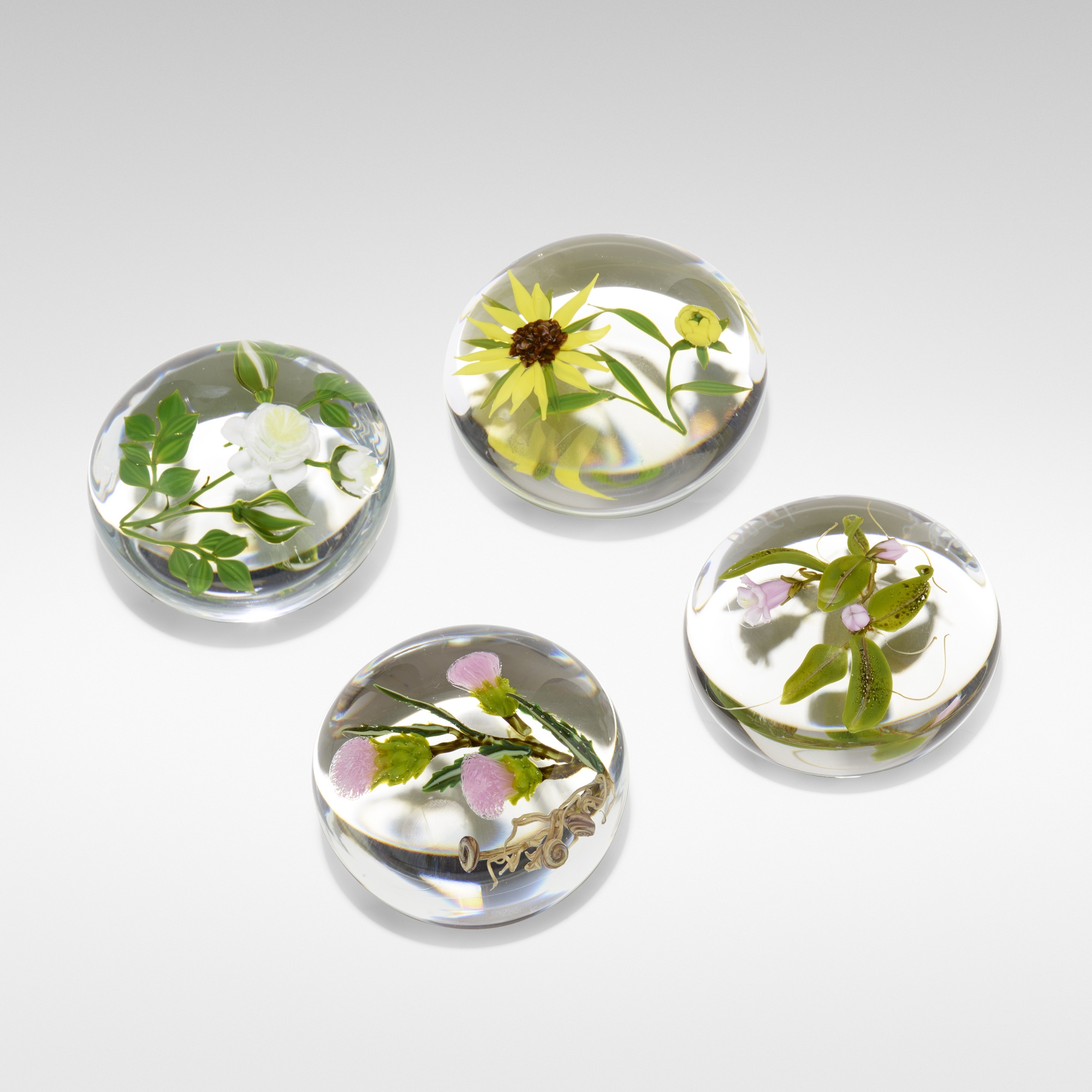 Paul Stankard Botanical paperweights, set of four MutualArt