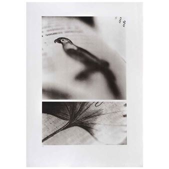 Untitled - Patricia Lagarde