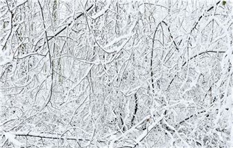 Snowflakes and Other Surprises - Fotografisk Center