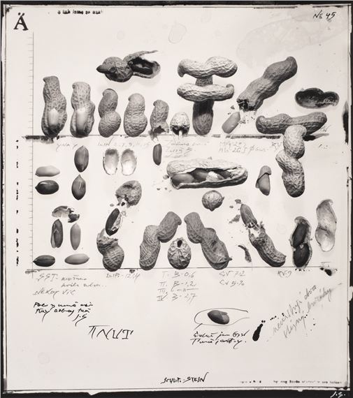 Untitled by Jiří Stach, 1991