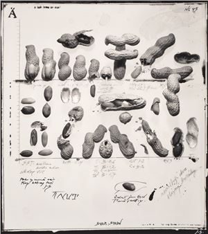 Untitled - Jiří Stach