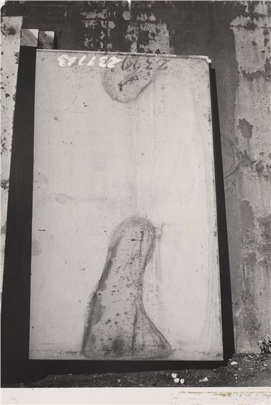 ZREZIVĚLÝ PLECH - VENUŠE by Antonín Gribovský