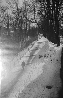 Untitled - Nikos Megrelis