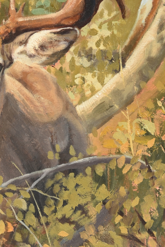 Dave Wade | 18 Point Stag | MutualArt