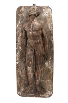 Anatomical Study of Man - Jules Talrich