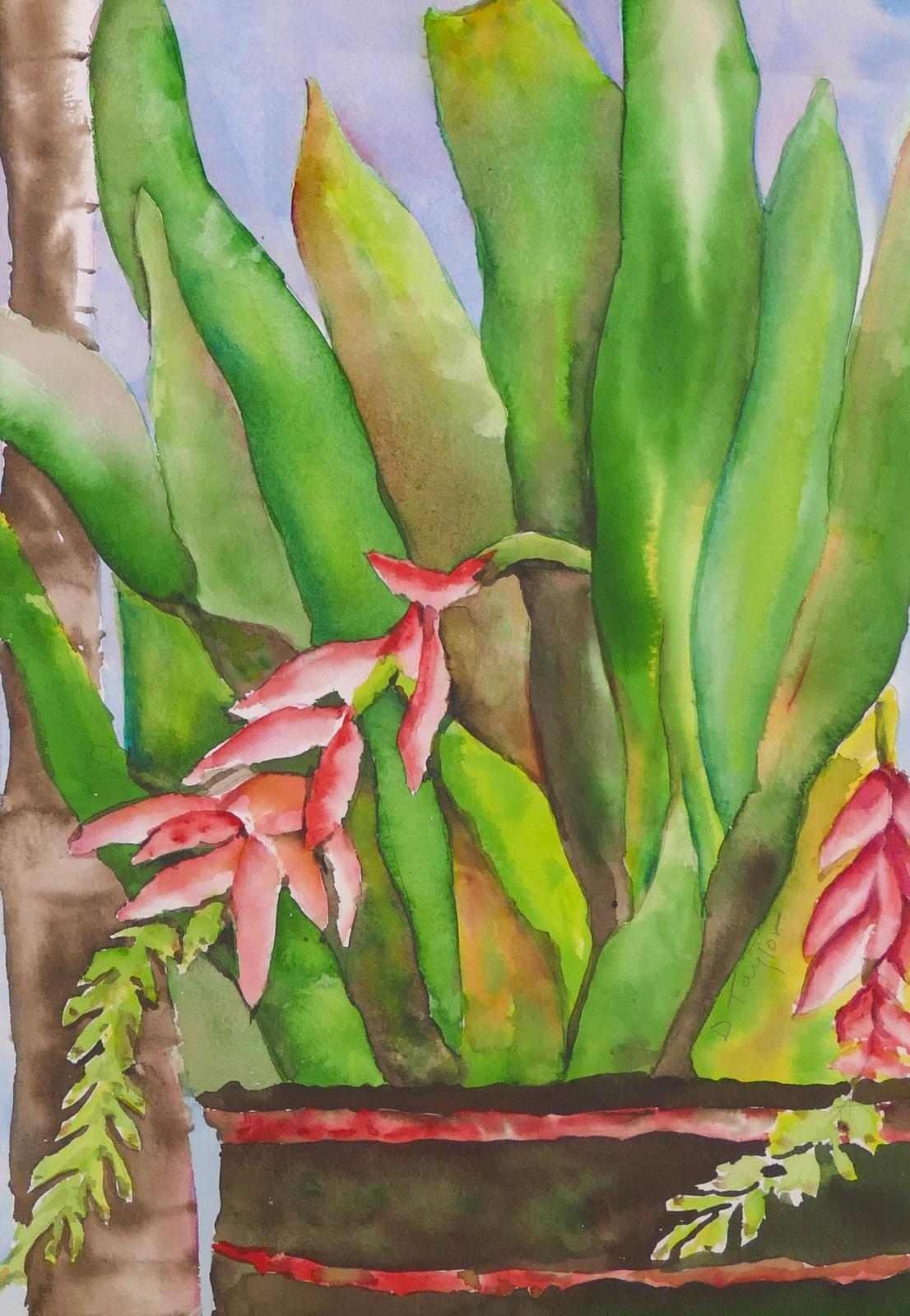 Artwork by Donna Taylor, BROMELIADS IN BLOOM, Made of Watercolor on Paper