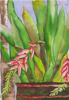 BROMELIADS IN BLOOM - Donna Taylor