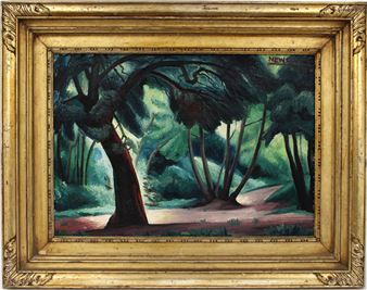 verdant trees in shadows - Warren Newcombe