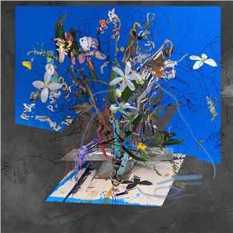 Petra Cortright - Foxy Production