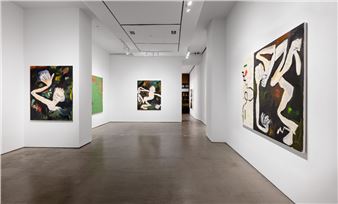 Installation view of Ricardo Gonzalez exhibition at Asya Geisberg Gallery.