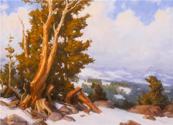 LIMBER PINES by Ned Mueller