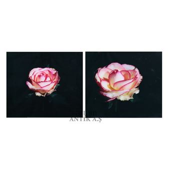 Rose Strip - Ani Çelik Arevyan