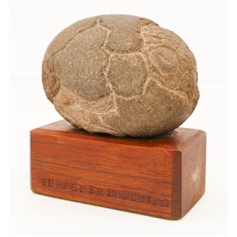 THRASHER HATCHING - James W. Washington Jr.