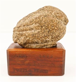 PURPLE FINCH - James W. Washington Jr.