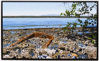 ALL THOSE SUMMERS - David Bobroff