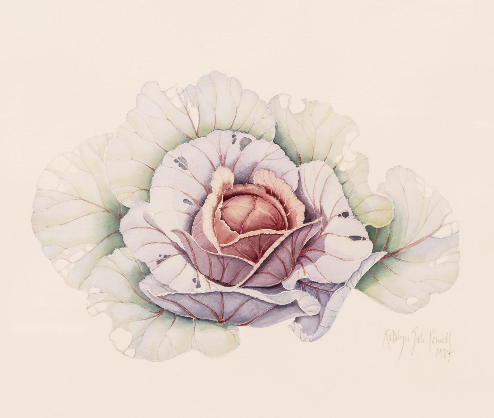 Rosalyn Gale Powell | PIKE PLACE MARKET CABBAGE (1984) | MutualArt