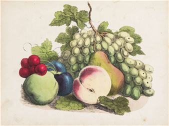 The Art of Drawing and Colouring from Nature - Nathaniel Whittock
