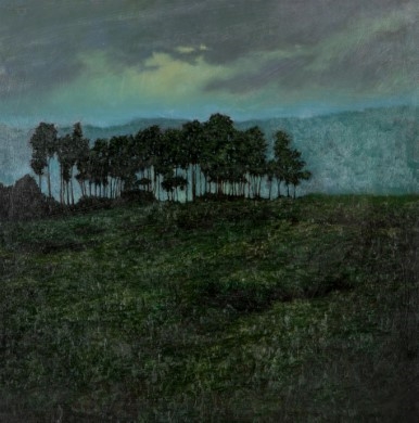 Artwork by Erin McSavaney, Untitled, Made of Oil on board