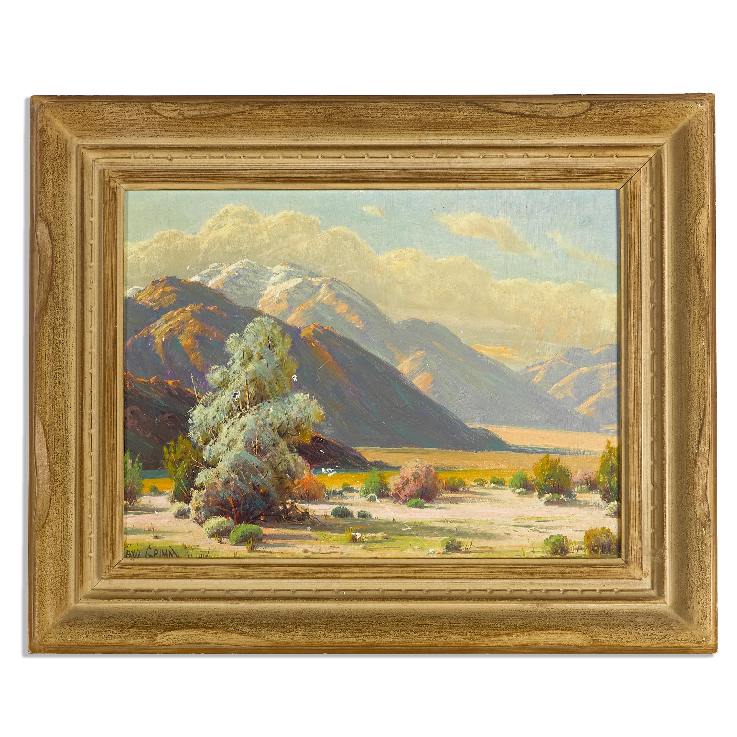 Artwork by Paul Grimm, Smoke tree beneath San Jacinto, Palm Springs, Made of oil on board