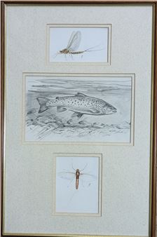 Studies of a trout and mayflies - Charles Jardine