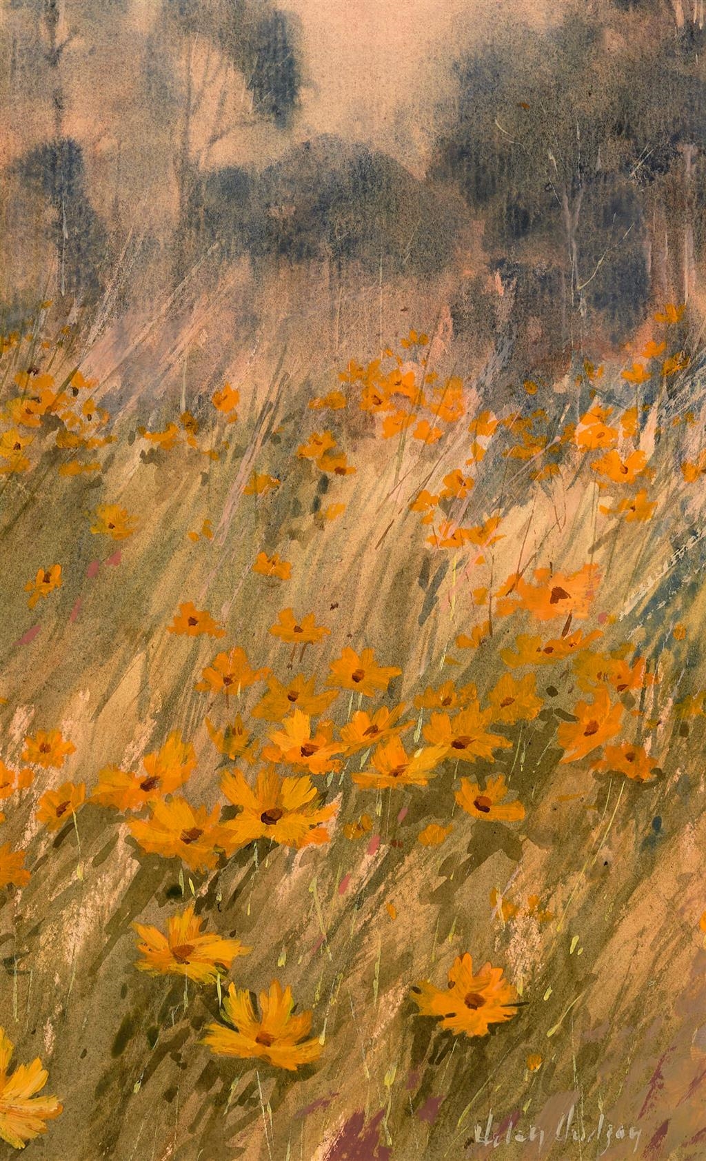 Artwork by Helen Hudson, Coreopsis (Tickseed), Made of watercolour