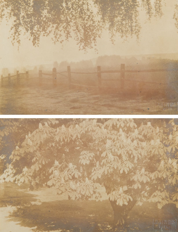 Two landscapes by Jan Bułhak