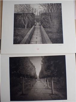 'GIRL AND BOY, SISSINGHURST' , and 'Lime Walk, Sissinghurst', - Beth Dow