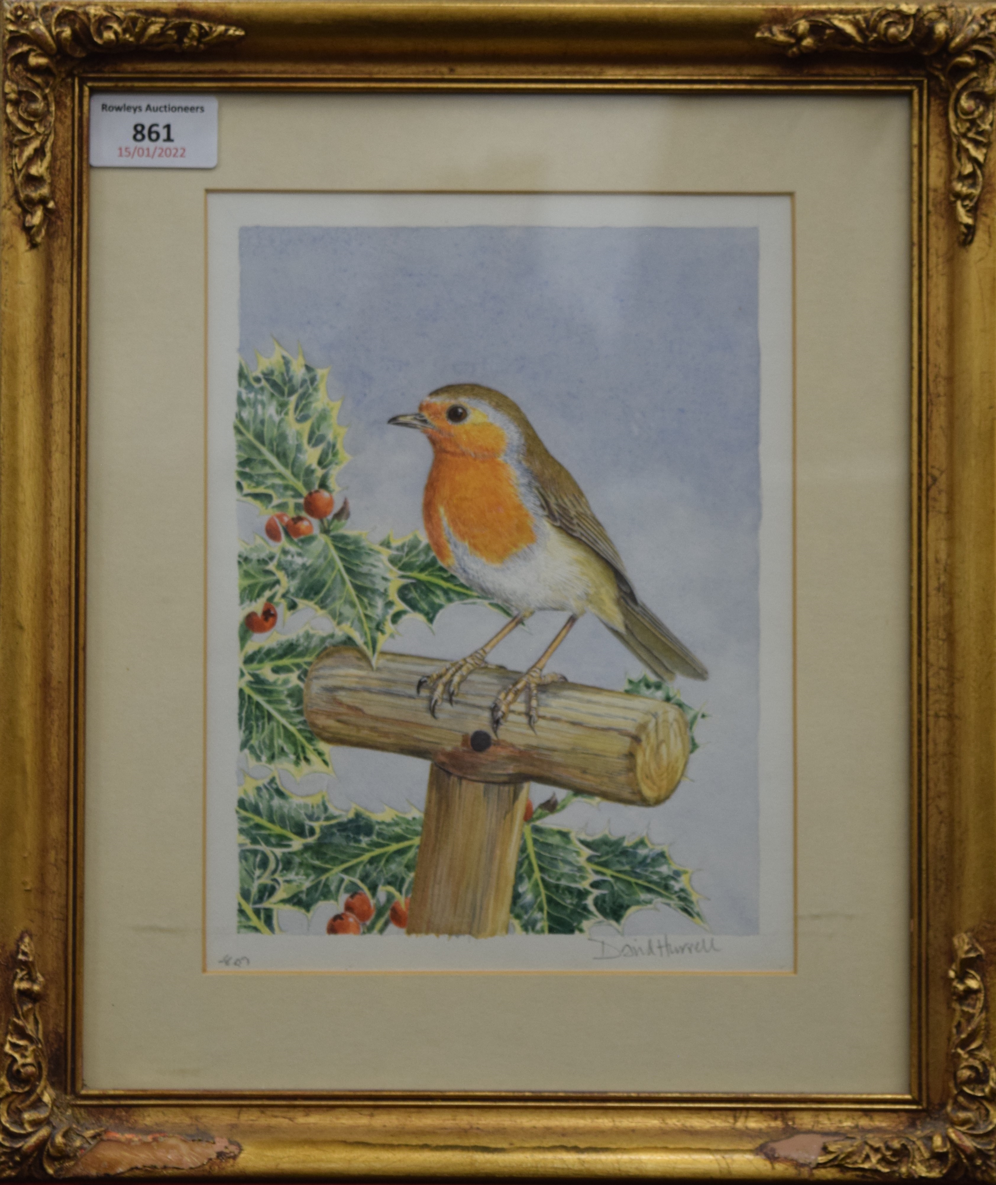 David Hurrell | Robin | MutualArt