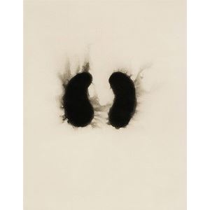 Untitled 4 by Anish Kapoor, 1988