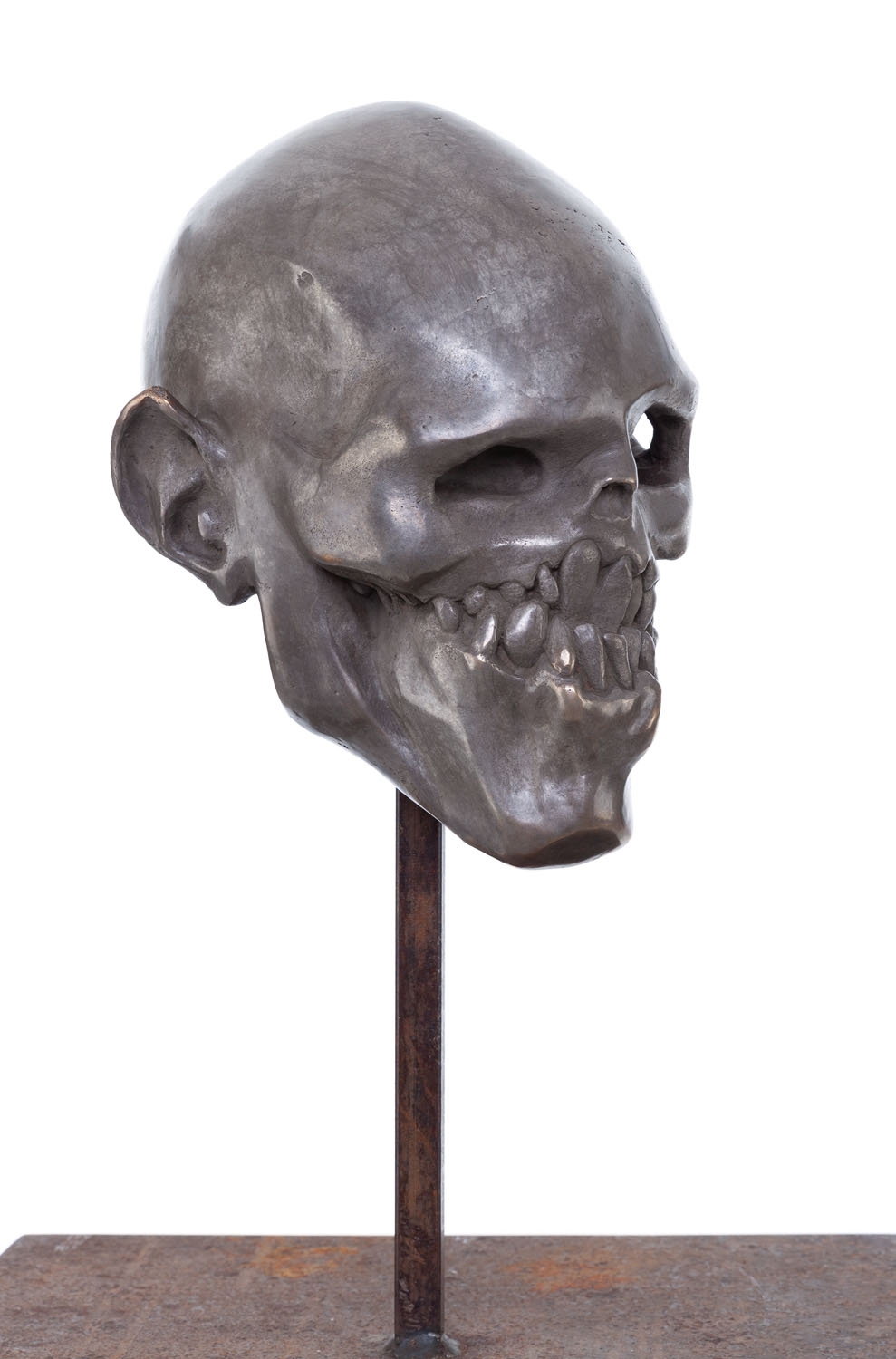 Artwork by Tomasz Górnicki, A Hint of Decay, Made of bronze, sculpture