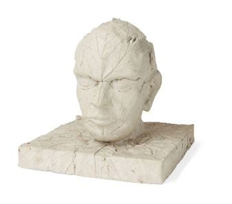 Head of Leaves - Stephen Duncan