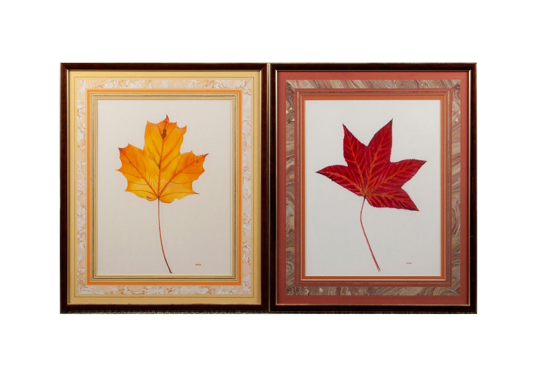 Artwork by Robert Stolz, Four botanical illustrations, each matted behind glass and framed, with one additional painting in acrylic of an apple barrel, Made of Colored pencil on paper