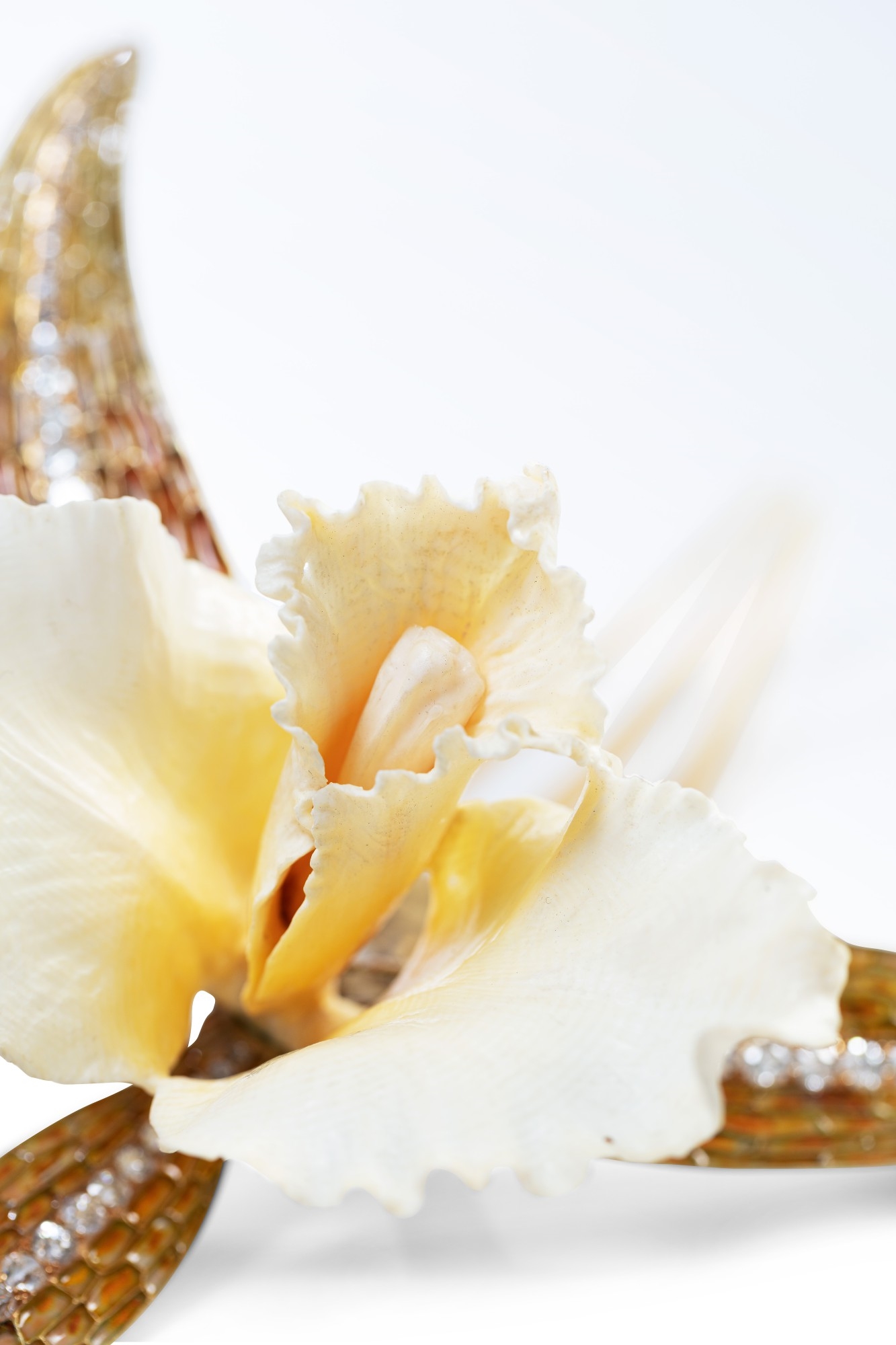 Artwork by René Lalique, Ivory, horn, enamel and diamond comb, 'Cattleya', Made of Ivory, horn, enamel and diamond