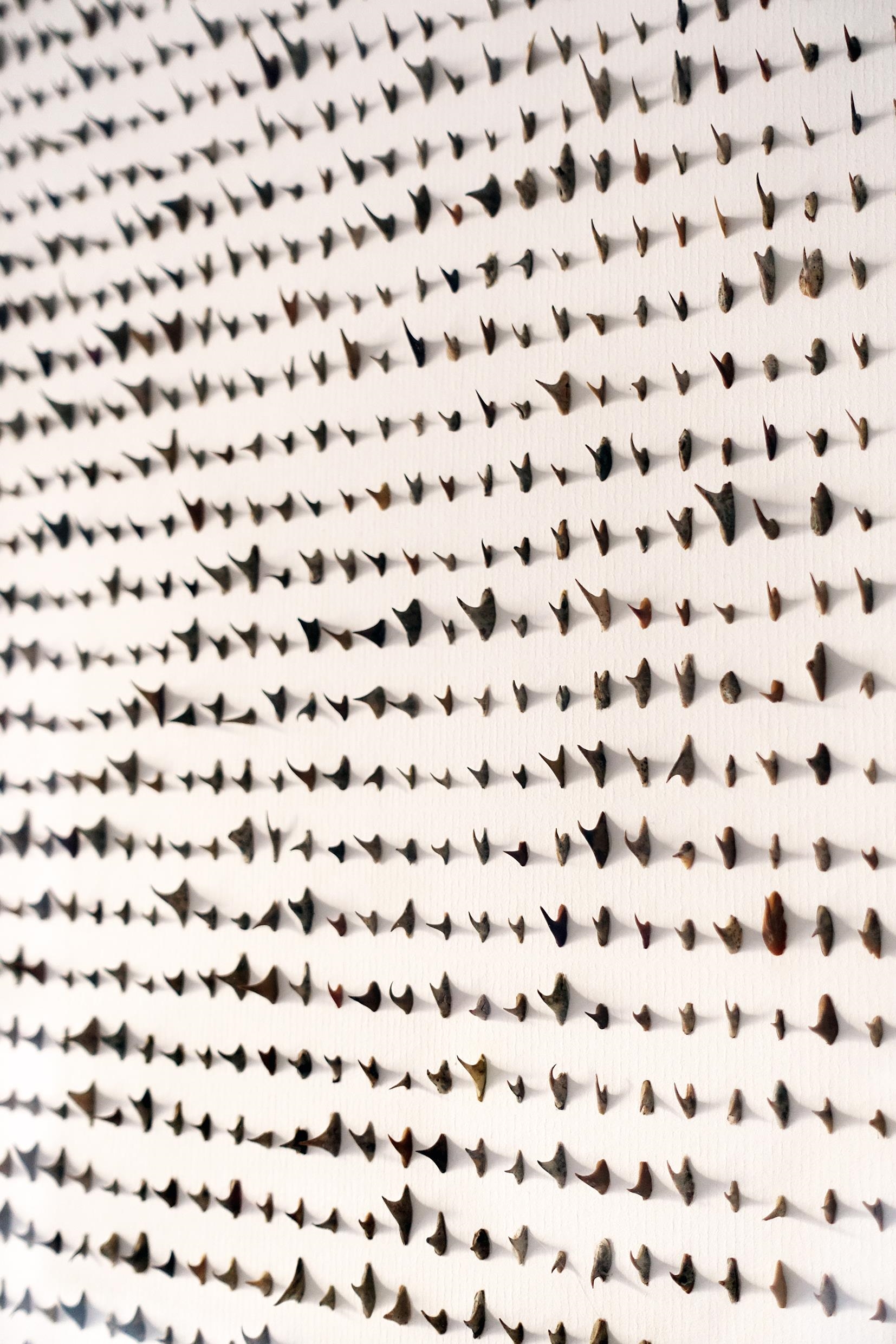 Artwork by Veronika Suschnig, Pain Pattern N° 4