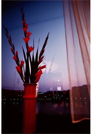 Marissa Roth by Marissa Roth, 1984