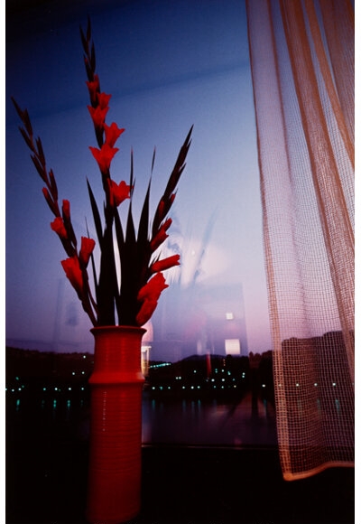 Artwork by Marissa Roth, Marissa Roth, Made of Dye bleach print