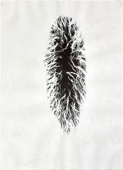 Untitled by Anish Kapoor, Executed in 1990