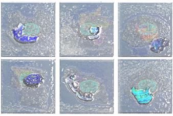 Maks Bricelj: Gel Chambers - Ravnikar Gallery Space