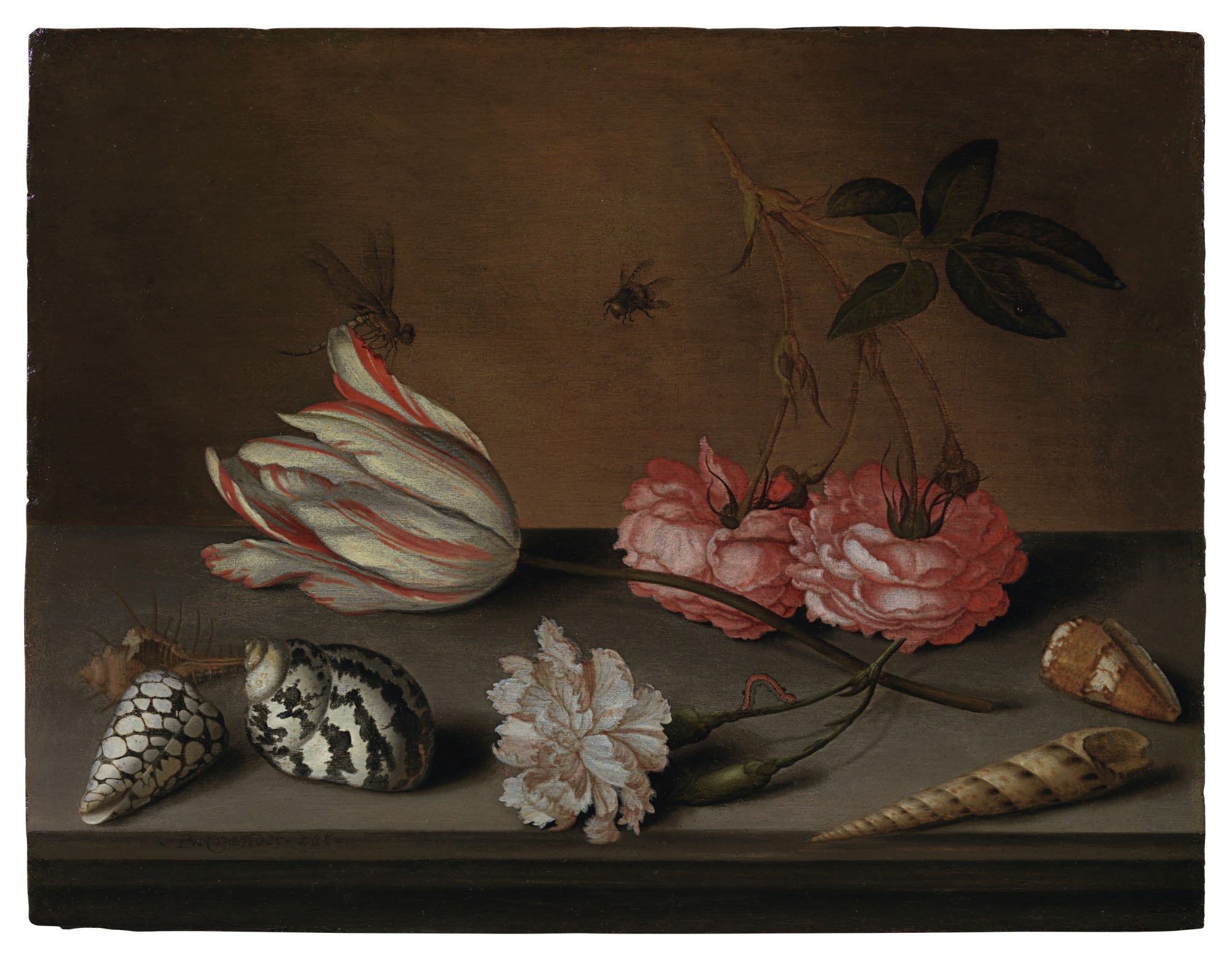 Artwork by Balthasar van der Ast, A tulip, a carnation and roses, with shells and insects, on a ledge, Made of oil on panel