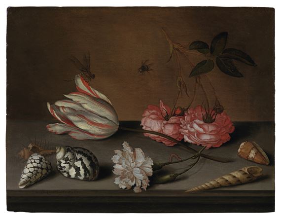 A tulip, a carnation and roses, with shells and insects, on a ledge by Balthasar van der Ast