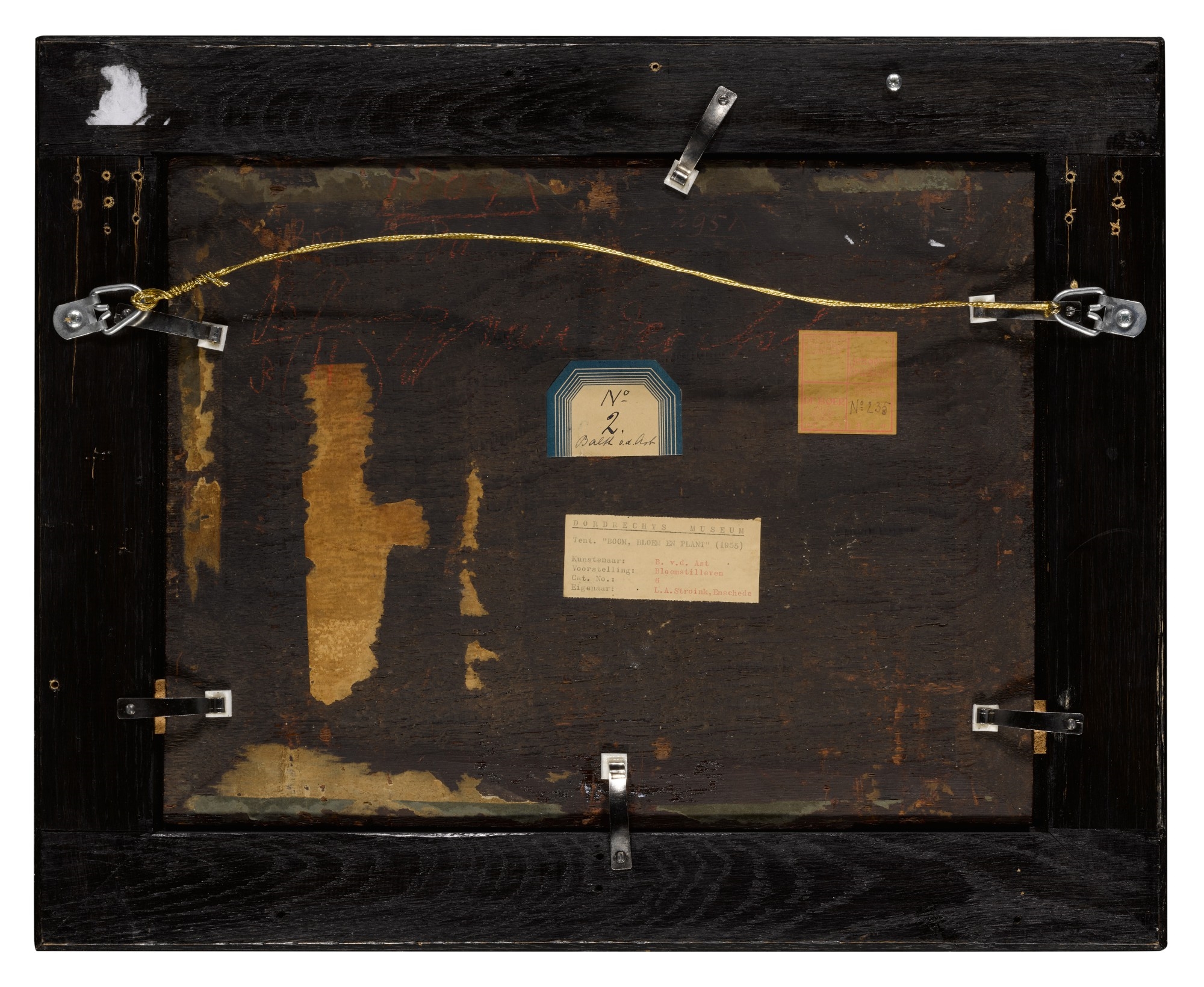 Artwork by Balthasar van der Ast, A tulip, a carnation and roses, with shells and insects, on a ledge, Made of oil on panel